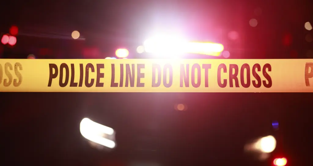 Chilling final text message sent by pregnant teen whose body was found buried in boyfriend's back yard