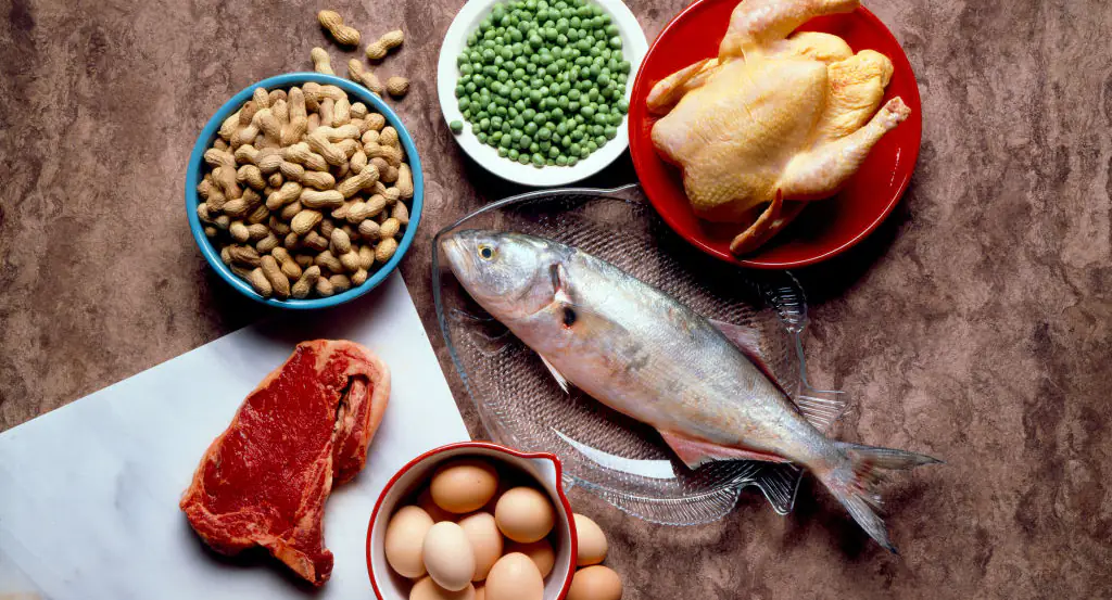 Identical twins share what happened to their bodies after one ate a strictly vegan diet and the other ate meat