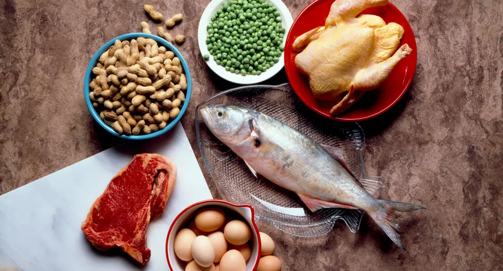 Identical twins share what happened to their bodies after one ate a strictly vegan diet and the other ate meat