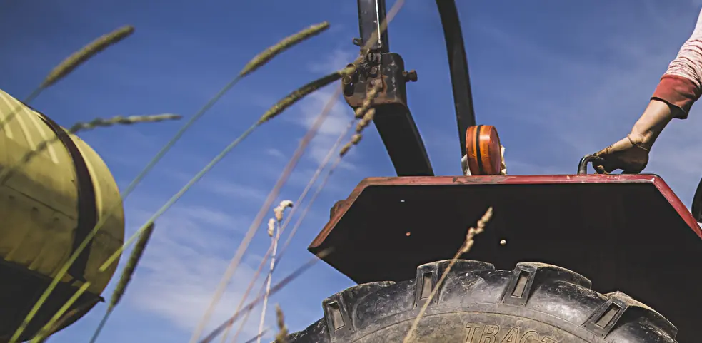 Truth revealed about why farmers sprayed manure over squatters to get rid of them