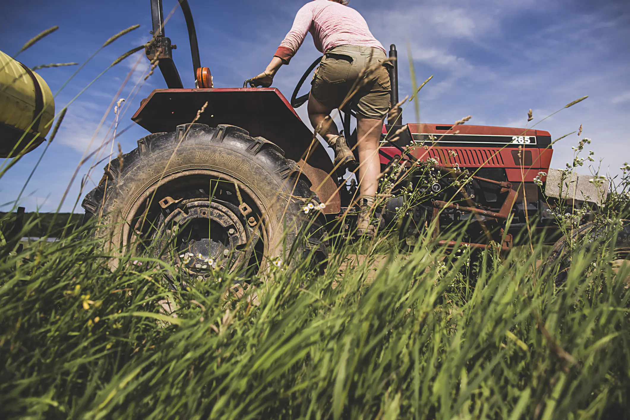Truth revealed about why farmers sprayed manure over squatters to get rid of them