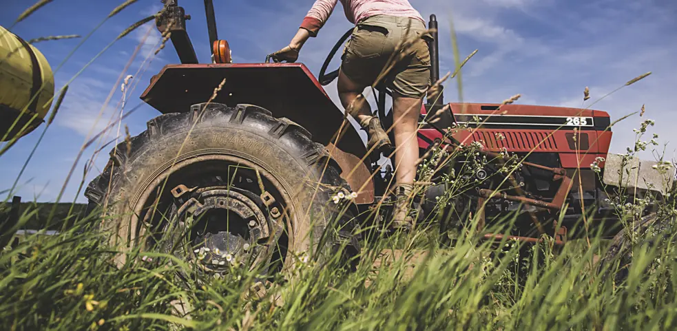 Truth revealed about why farmers sprayed manure over squatters to get rid of them