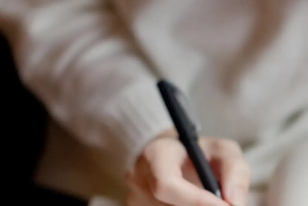 Laura wrote in her diary that she was 