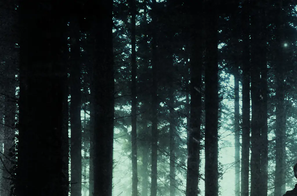 Pentagon answers question about whether aliens have visited the Earth