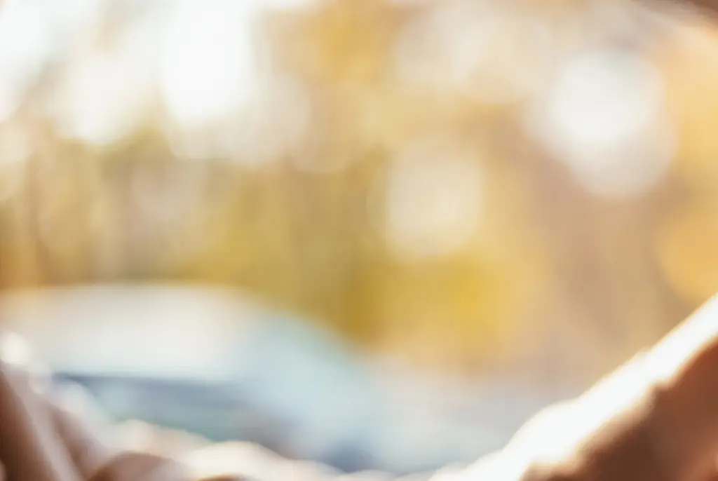 Woman's claim that 'somebody ran her off road' while driving completely backfires as dashcam footage is revealed