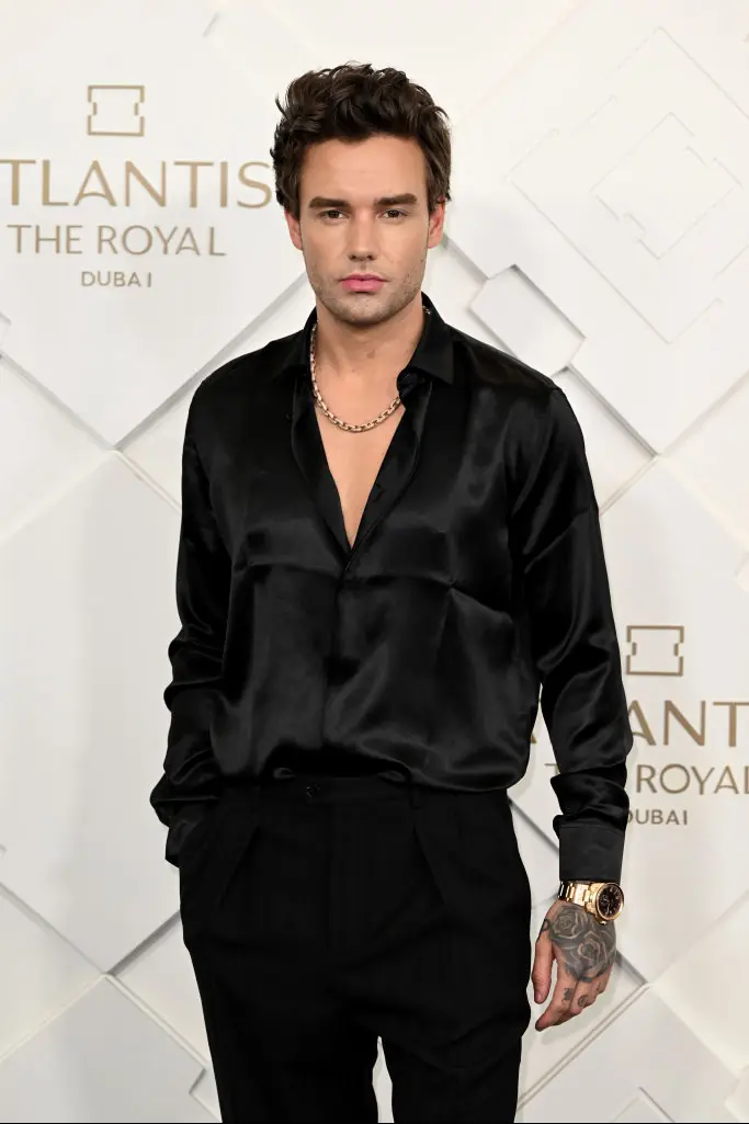 Liam Payne tragically died at the age of 31. Credit: Jeff Spicer / Getty