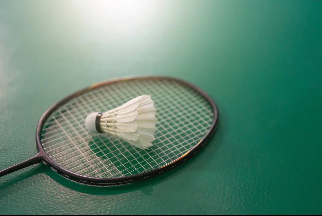 Six-year-old girl is killed in freak badminton accident involving broken racket