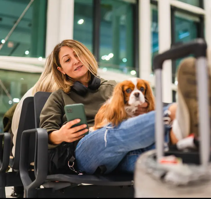 Do you think dogs should be allowed on planes? Credit: Su Arslanoglu / Getty
