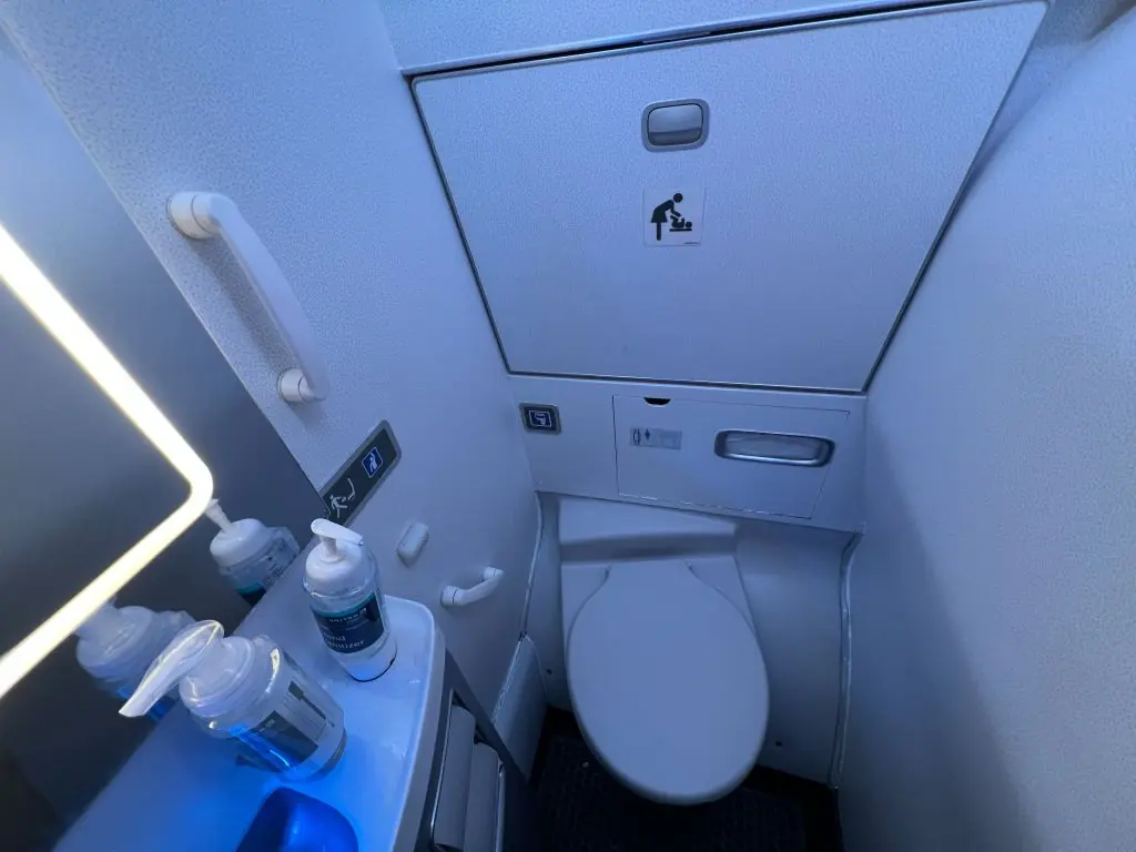 Have you ever spent the entire duration of a flight in the loo? Credit: Smith Collection/Gado / Getty