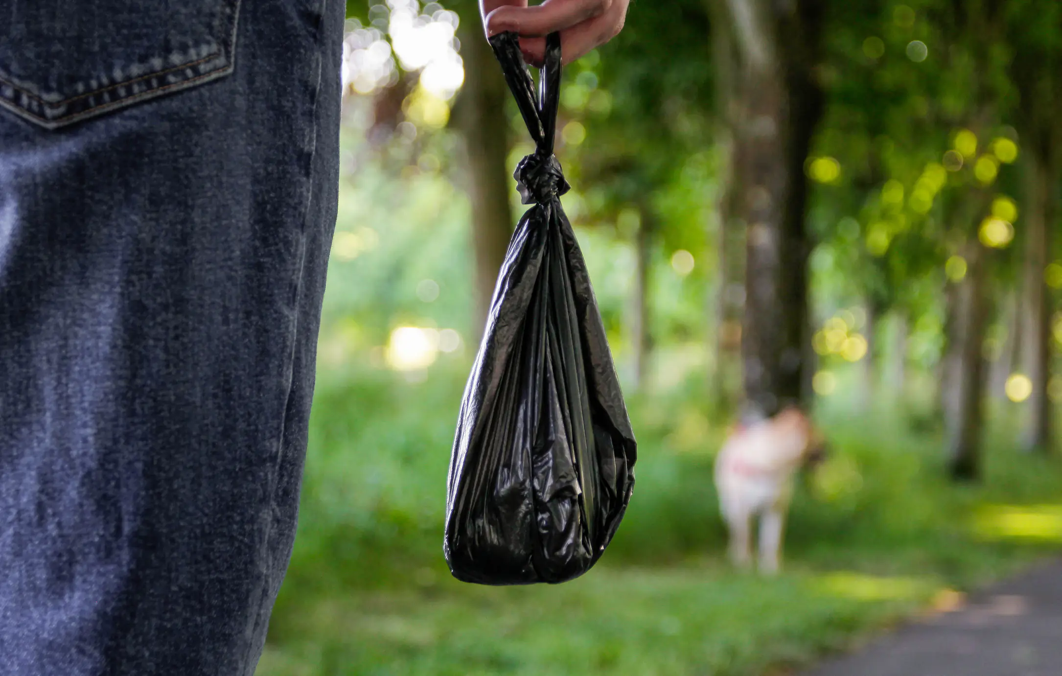Expert reveals the terrifying reason why you should never flush cat or dog poo down the toilet