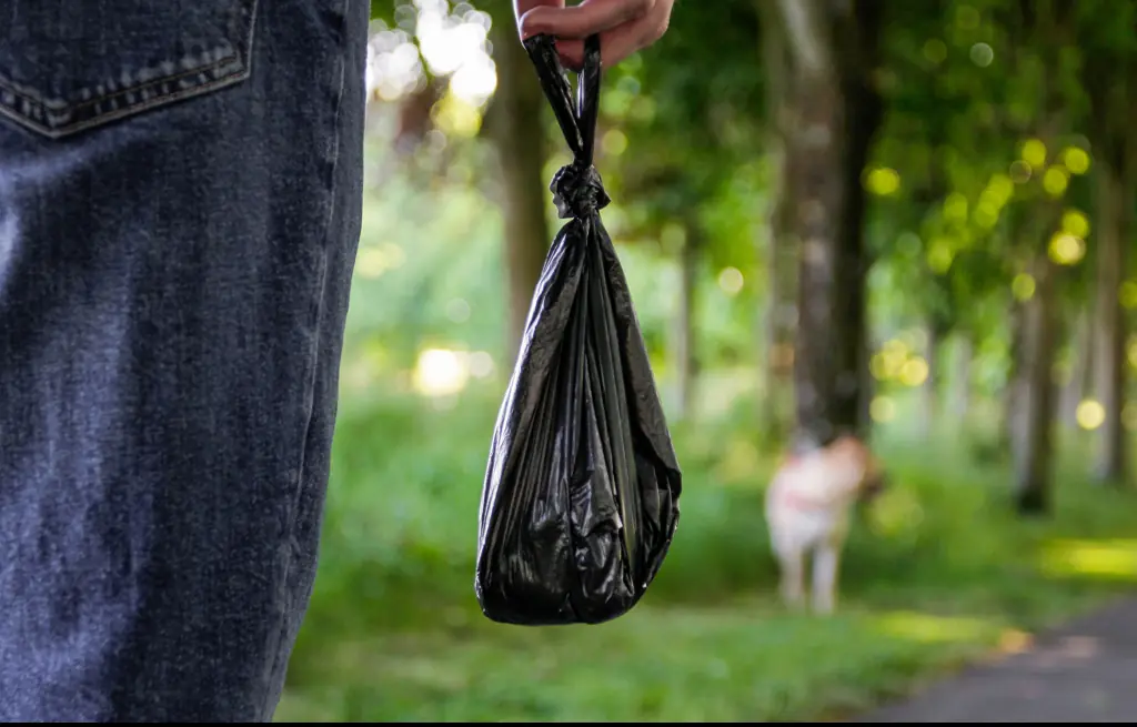 Expert reveals the terrifying reason why you should never flush cat or dog poo down the toilet