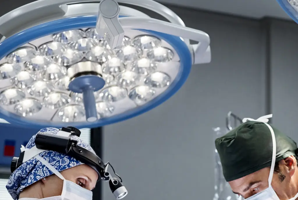 DiMeo underwent a 23-hour surgery. Credit: Morsa Images/Getty