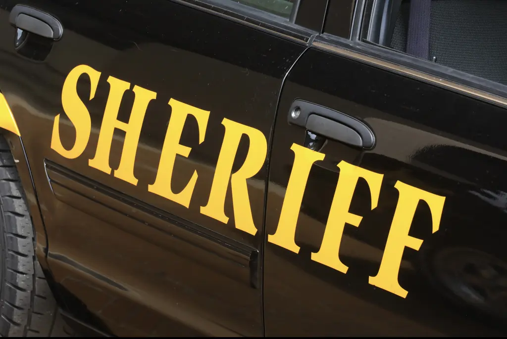 Wisconsin woman who vanished from bus stop in 1962 is found ‘alive and well’ by police