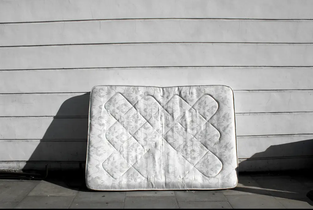 Massachusetts woman dies after having to be surgically removed from cockroach-infested mattress