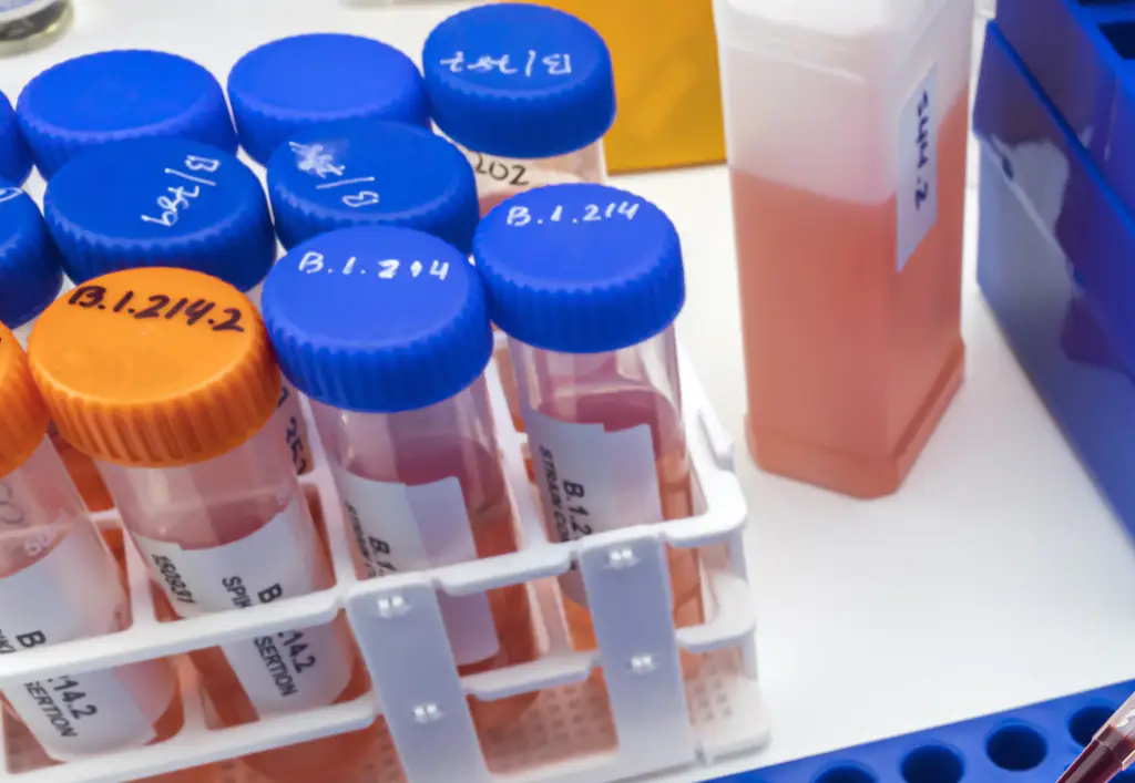 A blood test on the baby showed an impossible discrepancy. Credit: DIGICOMPHOTO/SCIENCE PHOTO LIBRARY/Getty Images