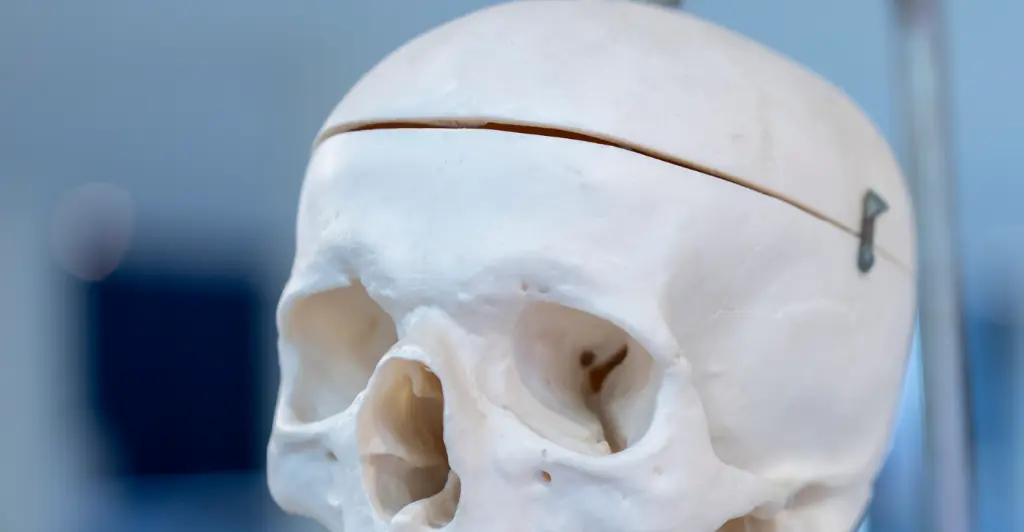 Woman said she had a fake skeleton in her apartment which turned out to be her husband