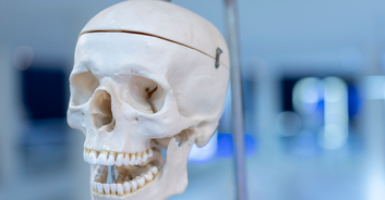 Woman said she had a fake skeleton in her apartment which turned out to be her husband