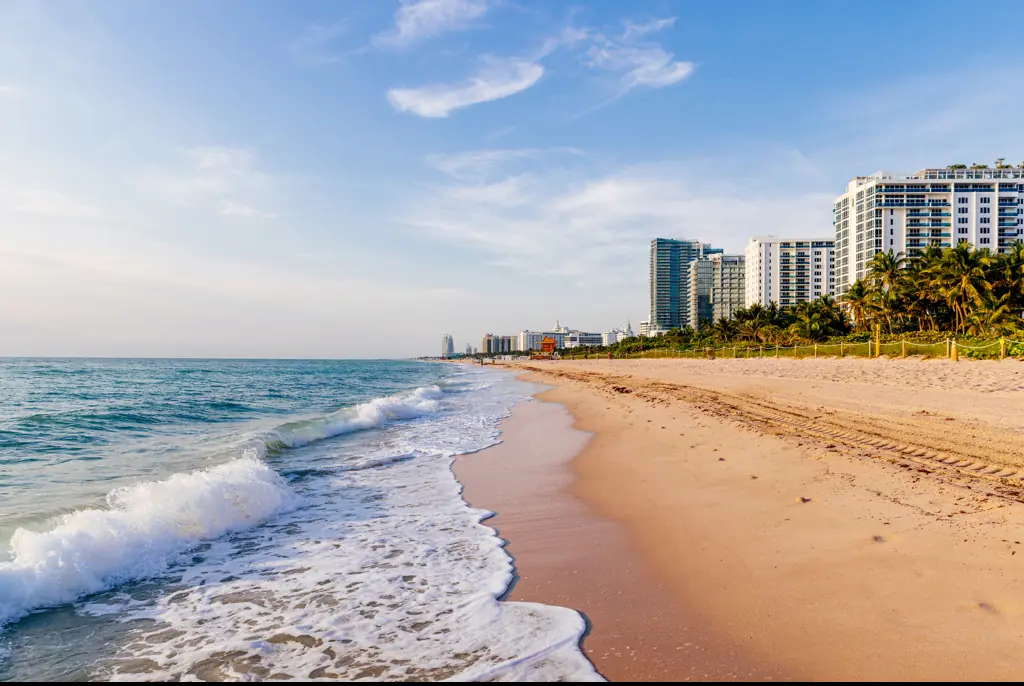 Rare flesh-eating bacteria kills four in Florida as health officials issue warning