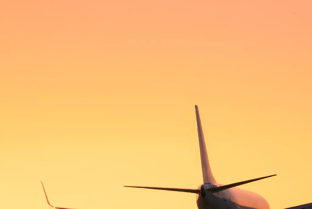 Mom divides internet after saying she could be hit with $6,000 fine for taking her kids on vacation