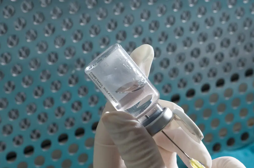 The bodies are attempted to be preserved in way that the cells won't face damage from being frozen - currently a huge barrier to potentially reanimating them in future. Credit: Lebazele/Getty Images