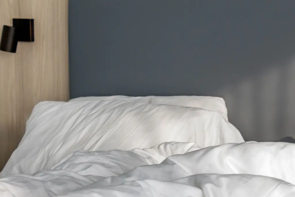 The frequency of how often he changed his sheets was a dealbreaker. Credit: Olga Dobrovolska/Getty Images