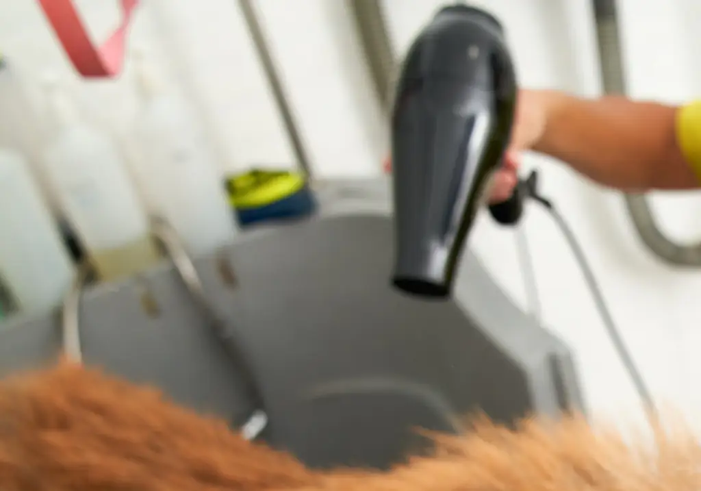The owners alleged that a groomer 