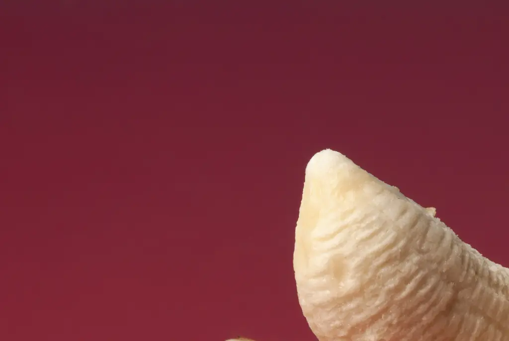 Scientific study reveals how many times a month men should ejaculate to help prevent prostate cancer