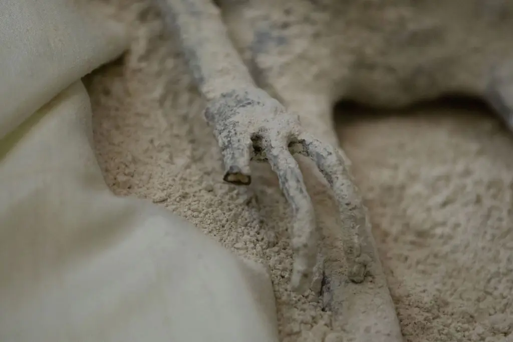 Finger prints from a specimen were examined. Credit: Daniel Cardenas/Anadolu Agency/Getty