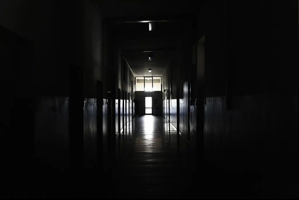 Credit: Manuel Sulzer / Getty