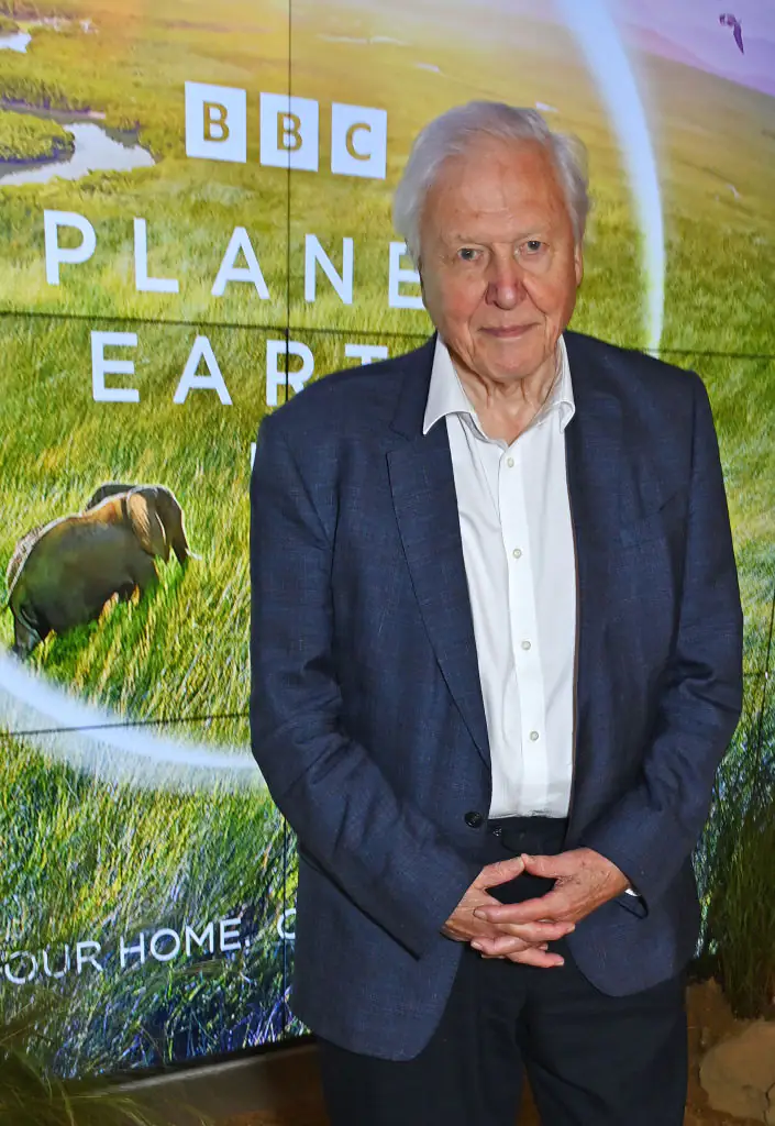 Sir David Attenborough has inspired countless generations through his work over the last 70 years. Credit: Dave Benett/Getty Images