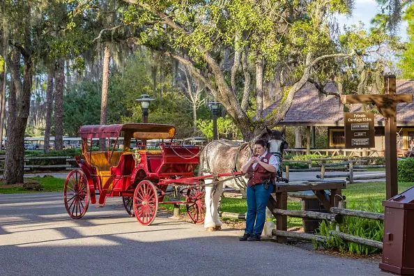 The incident took place at Fort Wilderness Resort in Florida. Credit: Getty/Ron Buskirk/UCG/Universal Images Group