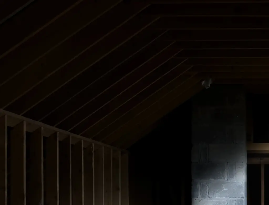 The man was found in a corner of the attic where the light had gone out. Credit: MediaProduction/Getty Images