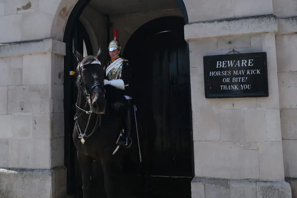People applaud King's Guard horse for getting 'payback' on tourist in terrifying incident