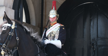 Tourist 'faints' after being bitten by King's Guard horse... right in front of sign warning tourists that King's Guard horses may bite