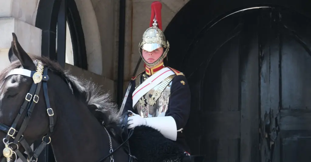 Tourist 'faints' after being bitten by King's Guard horse... right in front of sign warning tourists that King's Guard horses may bite