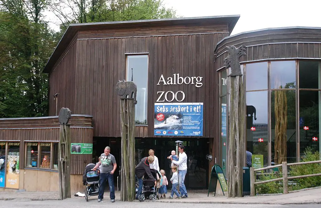 Woman explains why she gave her daughter’s pony to a zoo to feed the lions
