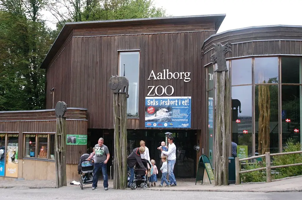 Woman explains why she gave her daughter’s pony to a zoo to feed the lions