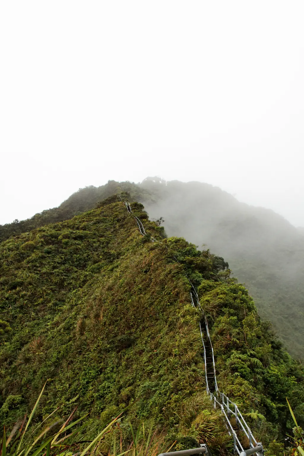 The stairs are illegal to climb. Credit: Thomas Davis/Gettty