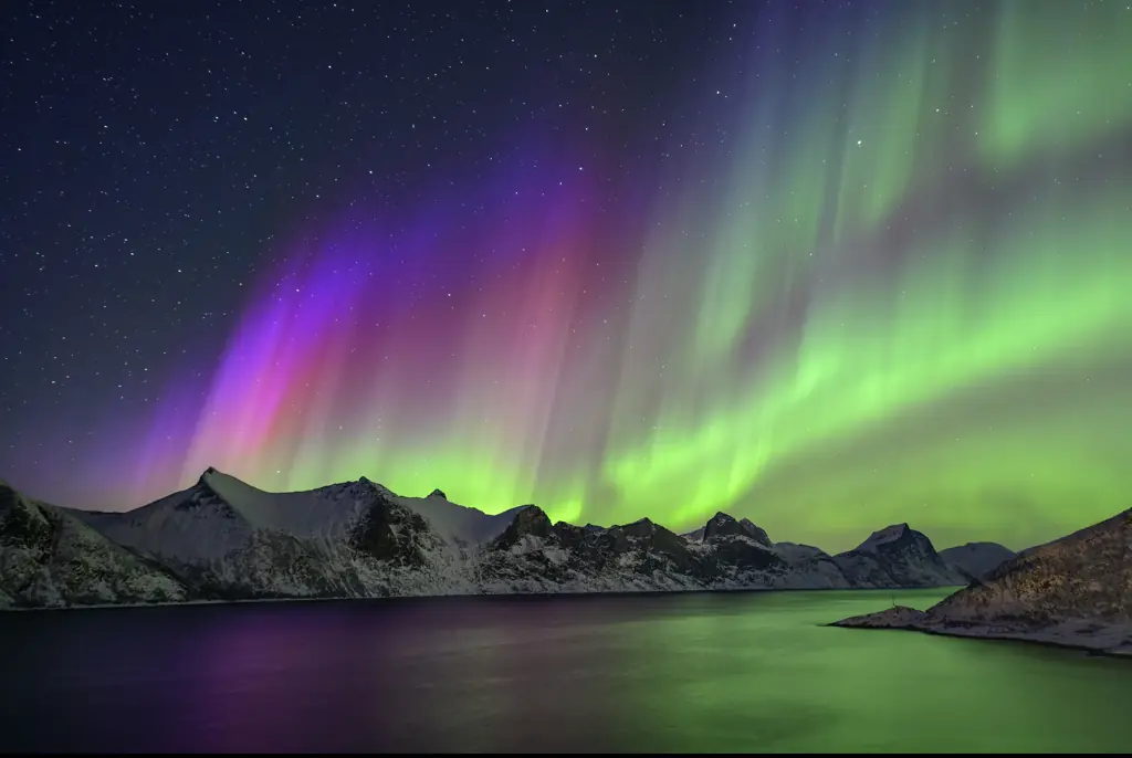 The Northern Lights are quite the sight. Credit: Westend61/Getty