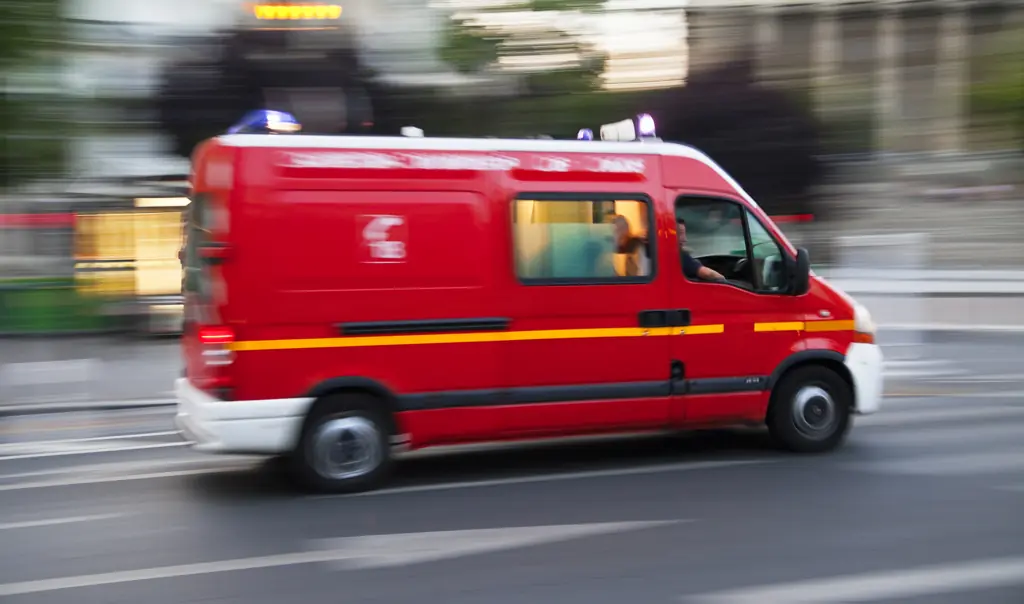 Newborn dies after being 'thrown from Paris hotel window', teenage American tourist in custody