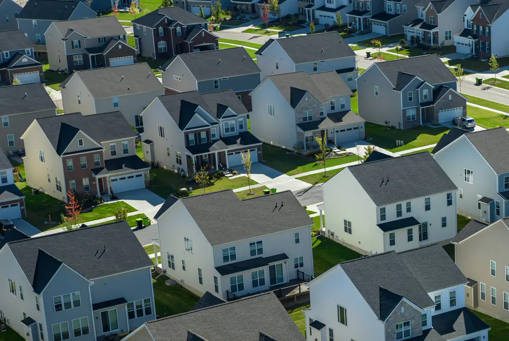 Exterminator makes shocking discovery in wall of client's house