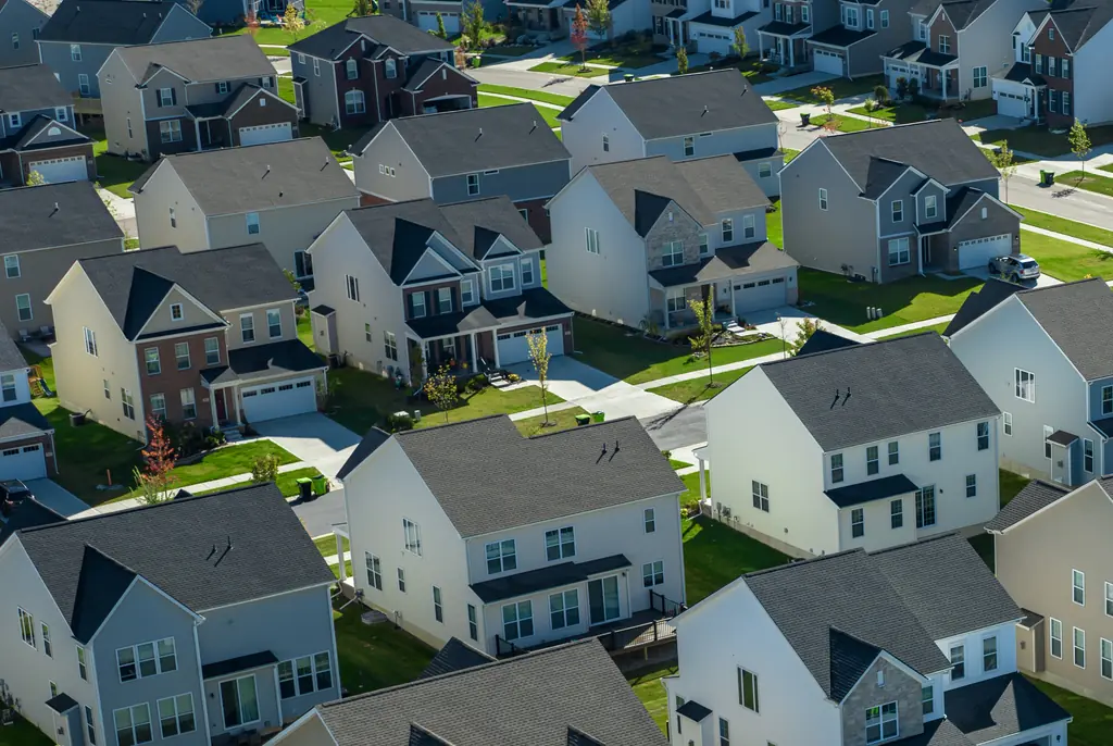 Exterminator makes shocking discovery in wall of client's house