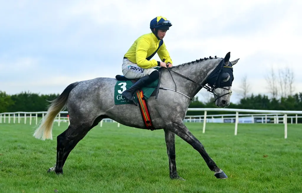 O'Sullivan back in January. Credit: Seb Daly/Sportsfile via Getty Images