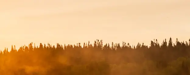 Fisherman who was found alive after 95 days lost at sea reveals the gruesome lengths he went to survive