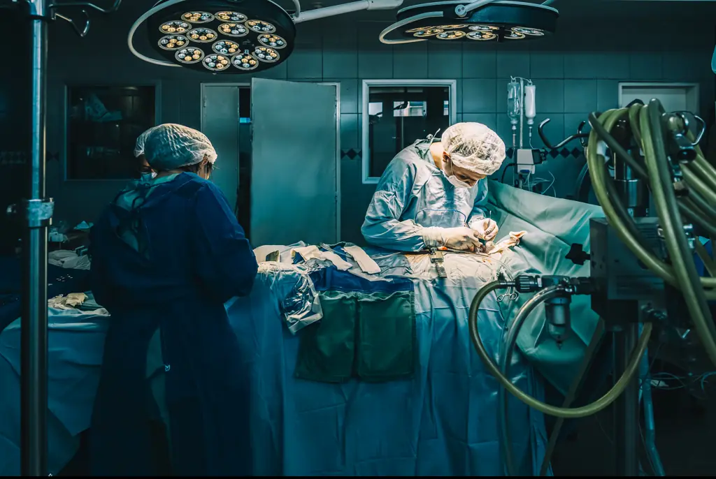 Credit: Danirom / Getty