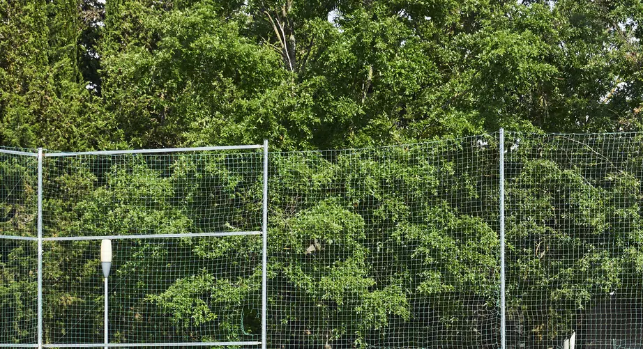 Teen soccer star mocked over club announcement photo shuts down trolls in best way possible