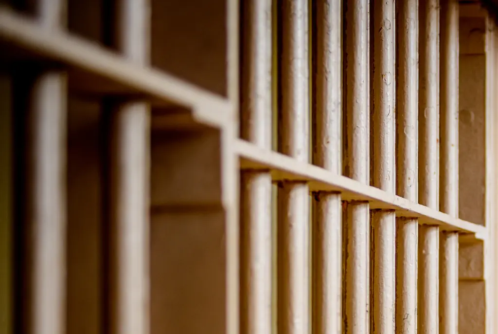 Tennessee death row inmate's chilling last words as he suffered excruciating execution when state refused to deactivate his heart device