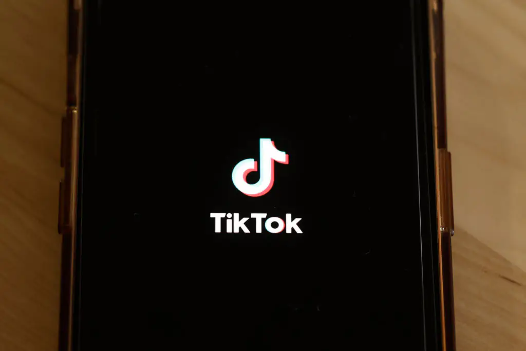Many people have deleted their TikTok accounts. Credit: Michael M. Santiago / Getty