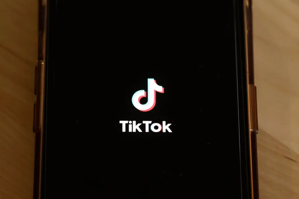 Many people have deleted their TikTok accounts. Credit: Michael M. Santiago / Getty