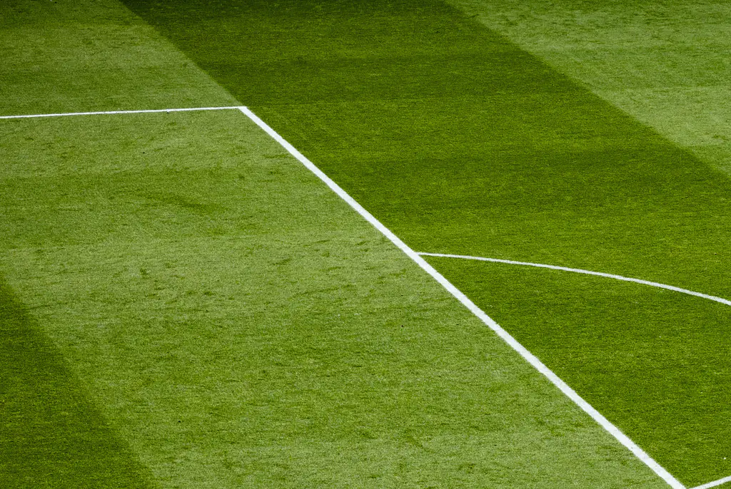 A 22-year-old soccer star was discovered dead in his bed on December 27. Credit: Katsumi Murouchi / Getty